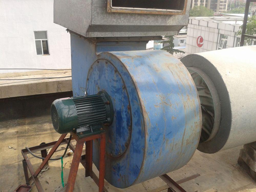 feng1321406244474282